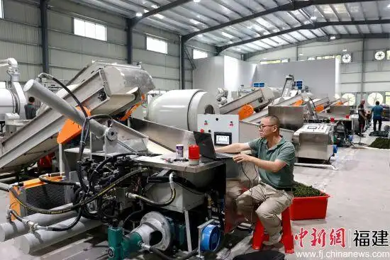 福建华安：机械赋能传统工艺 解锁茶香新质密码